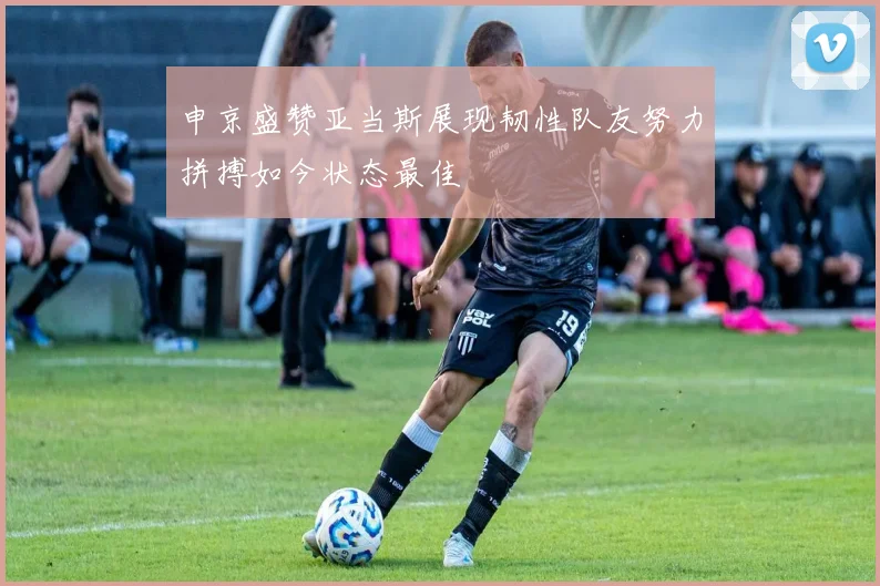申京盛赞亚当斯展现韧性队友努力拼搏如今状态最佳