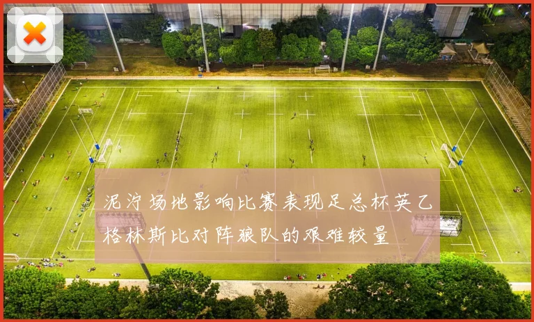 泥泞场地影响比赛表现足总杯英乙格林斯比对阵狼队的艰难较量